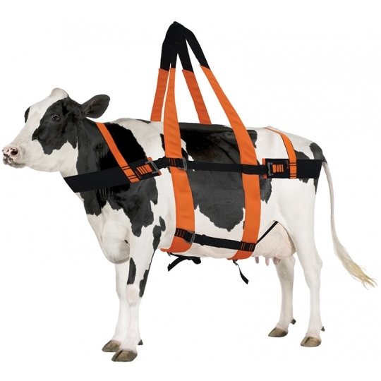 Kaya Safety Bovine Rescue Büyük Baş Hayvan Kemeri Kaya Safety Bovine Rescue Büyük Baş Hayvan Kemeri