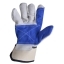 PollyGloves C853  PollyGloves C853